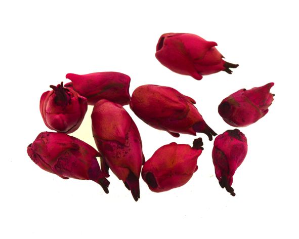 Abacaxizinho (flor de jatobá) rosa - Pacote 30 sementes